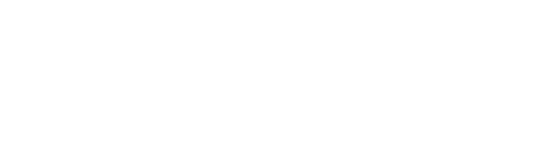 Logo after scroll